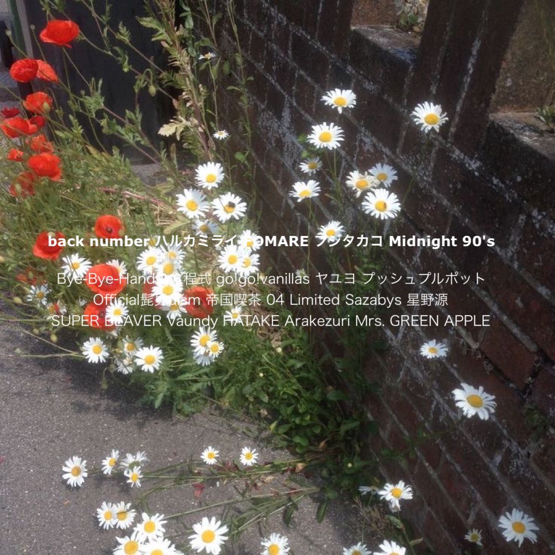 マスオ tweet media