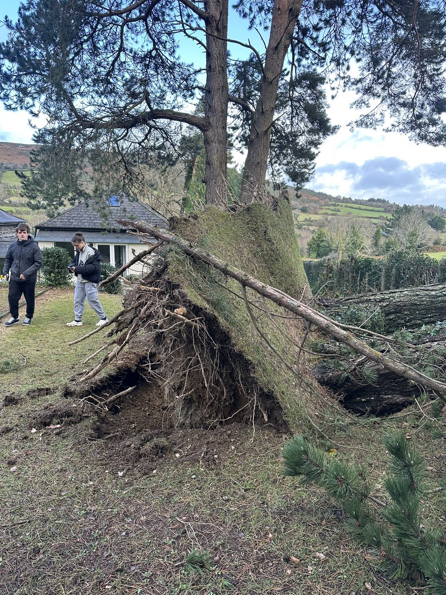 #StormDarragh gave us a good lash in Ashford, Co Wicklow!