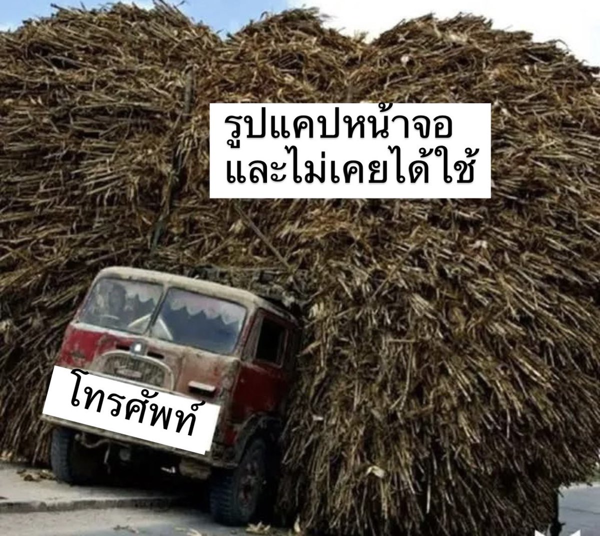 อันนี้เรื่องจริง 555
