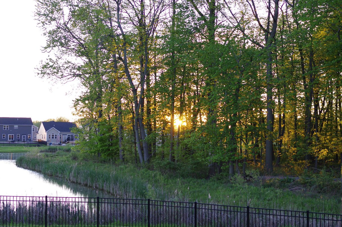 Join us for our weekly gathering and conversation, Sunday Dec 8 at 9amET / 2pm UTC / 730pm India ~ Topic: Tapping into Abundance ~ w/<a href="/AjmaniK/">Kumud Ajmani</a> in #Spiritchat 🙏🏽 ☺️