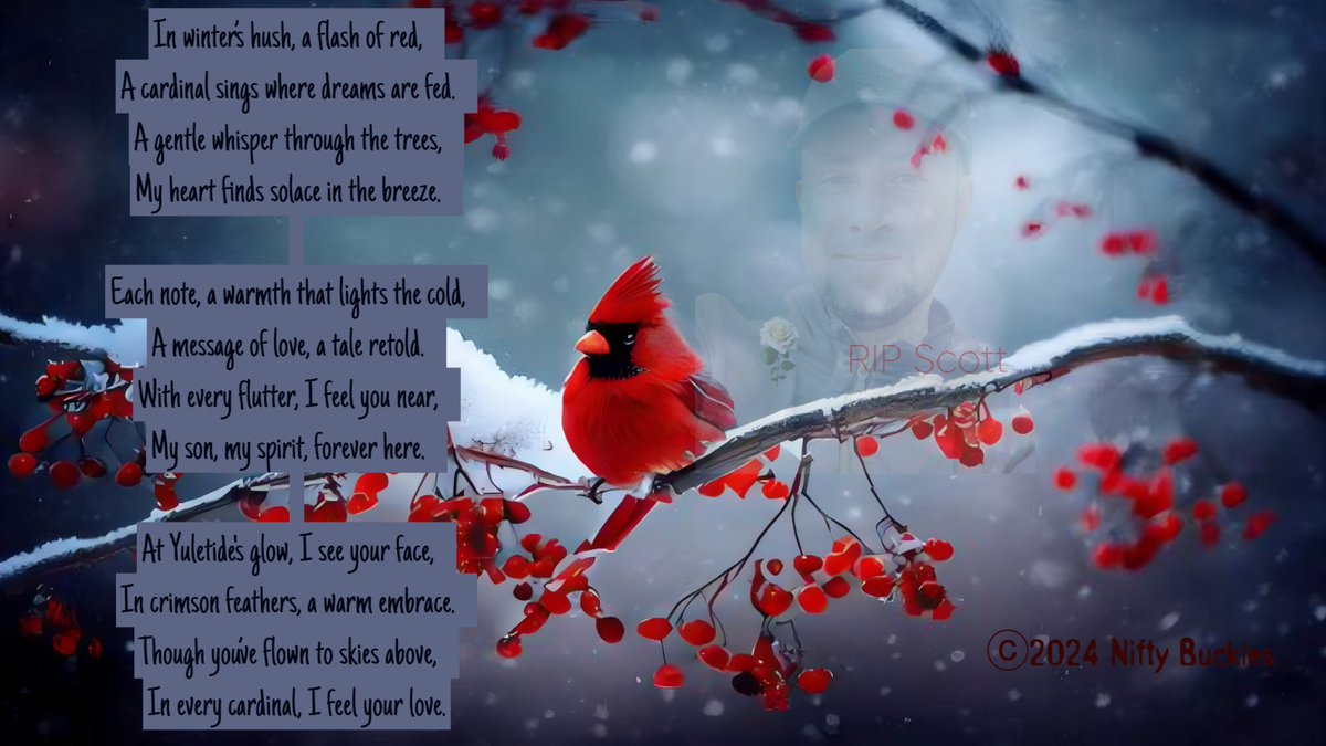 NiftyBuckles's tweet photo. #CardinalMagic 🐦 #Inlovingmemory 🙏
#YuletideMemories 🎄
My son Scott crossed the veil a couple of years ago and now his light abides in my heart. 💖🕯️
🐦 Cardinals have long been seen as heavenly visitors & messengers from the divine. Their vibrant presence evokes memories of loved ones, especially during the Yuletide Season, a time for reflection & connection with those we've lost.
🎶May their song bring us comfort and hope. 💖🕊️