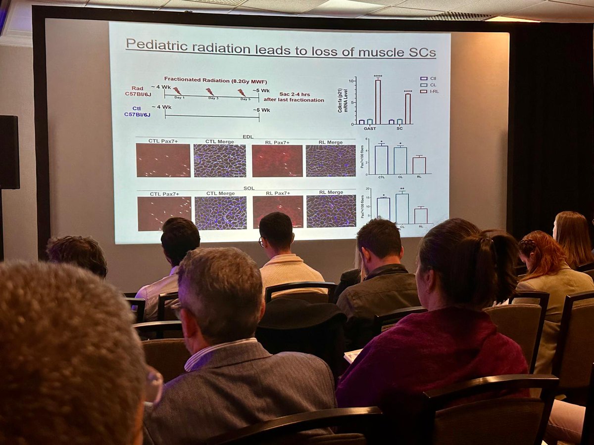 SCWDnews's tweet image. Session I at #SCWDConference2024 explored the latest research on radiation-induced muscle fibrosis, immune cell signatures, and sex-dependent effects in chemotherapy-induced cachexia.
#CancerCachexia #MedicalResearch