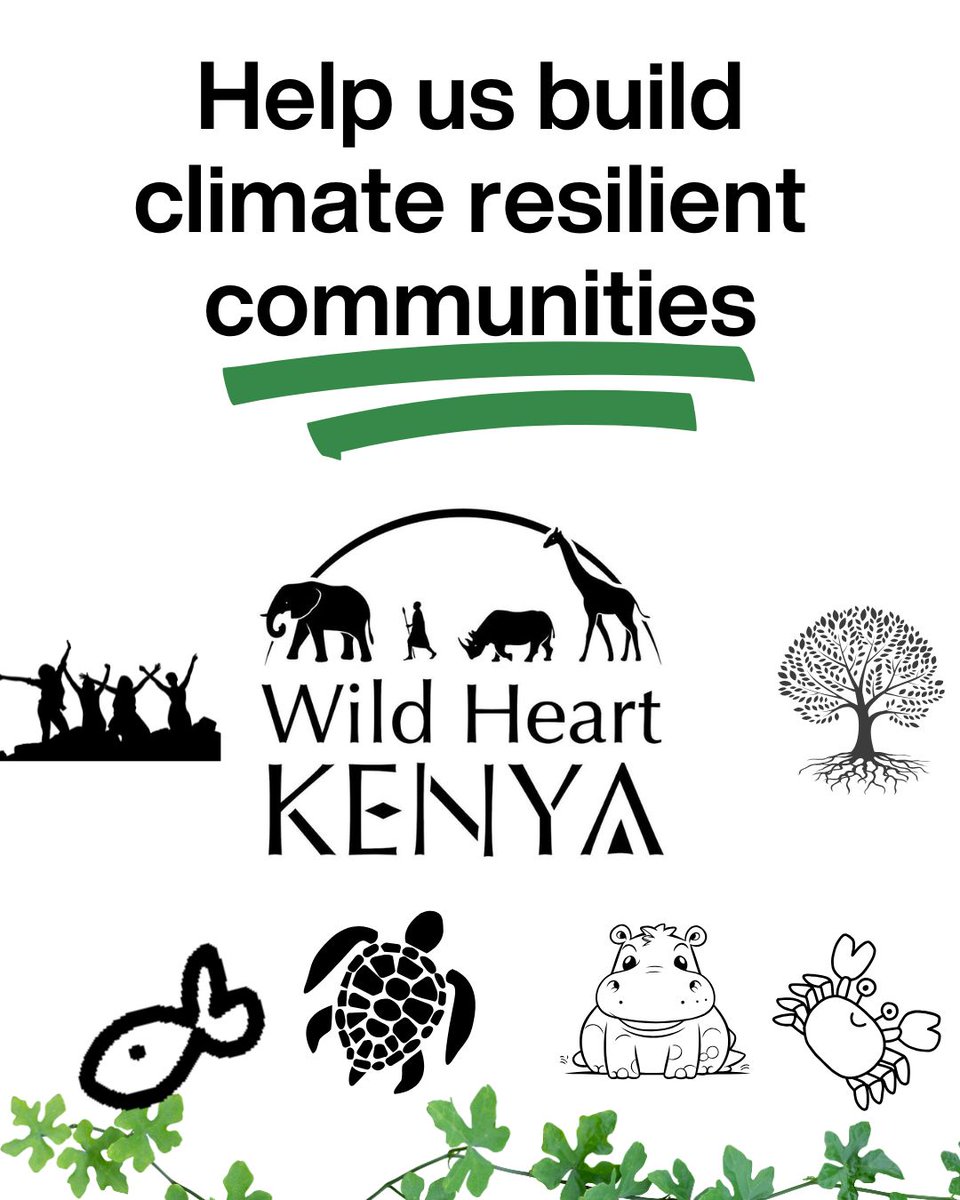 Your support will help us:

🟢 Empower women affected by climate change
🟢 Climate Education through art and hands-on conservation learning 
🟢Support girls affected by period poverty
🟢 Carry out wildlife relief work 

💚 Support our work through: wildheartkenya.org/donate