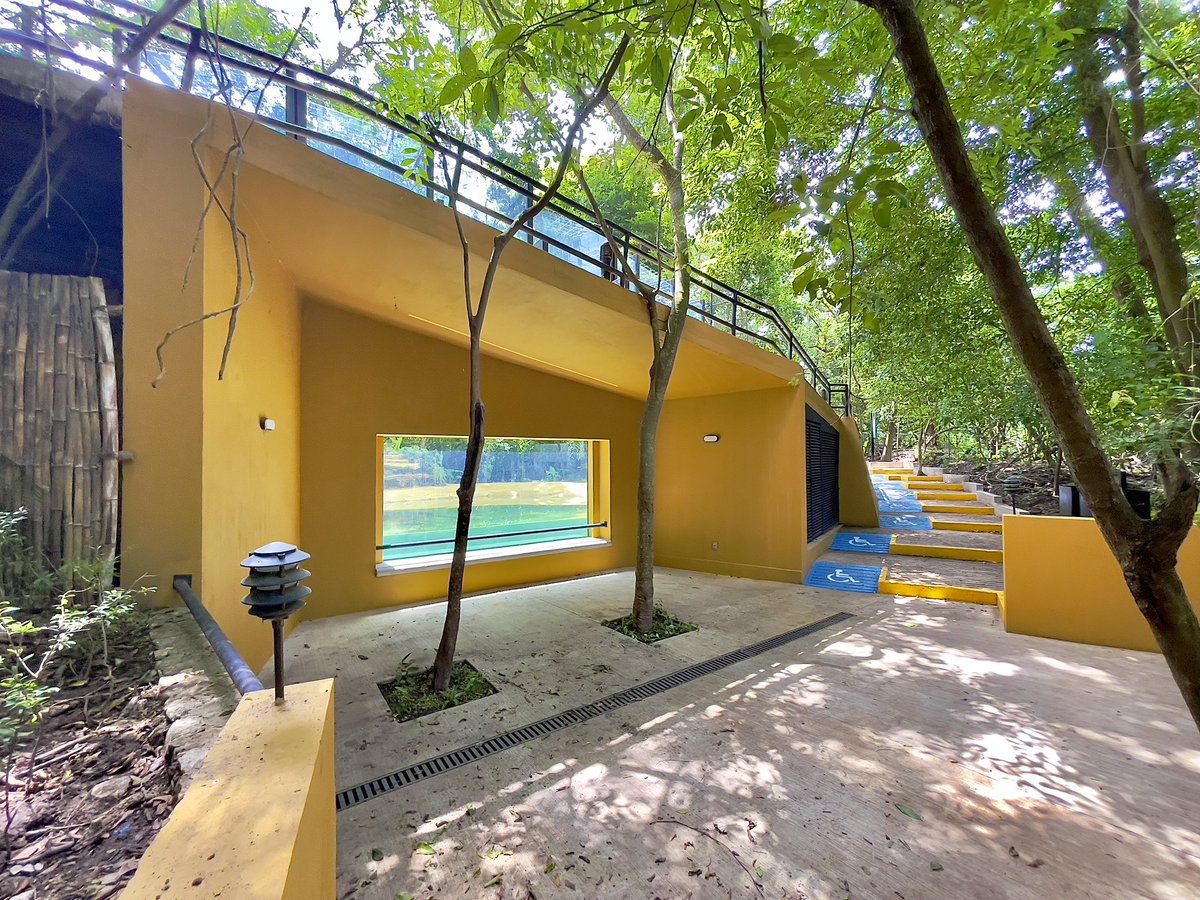 #OBRAS
Estanque para el #JaguarNegro.

Acondicionamiento recinto del #jaguar #Yojk, #Zoo Miguel Álvarez del Toro, #Chiapas.

1) Acceso al recinto.
2) Estanque.
3) Vista al estanque.

Promotor: <a href="/SemahnChiapas/">SEMAHN CHIAPAS</a> <a href="/zoomat/">ZOOMAT Chiapas</a> <a href="/ObrasPublicasCS/">Secretaría de Infraestructura Chiapas</a>

#Arquitectura #Architecture
#REArquitectos