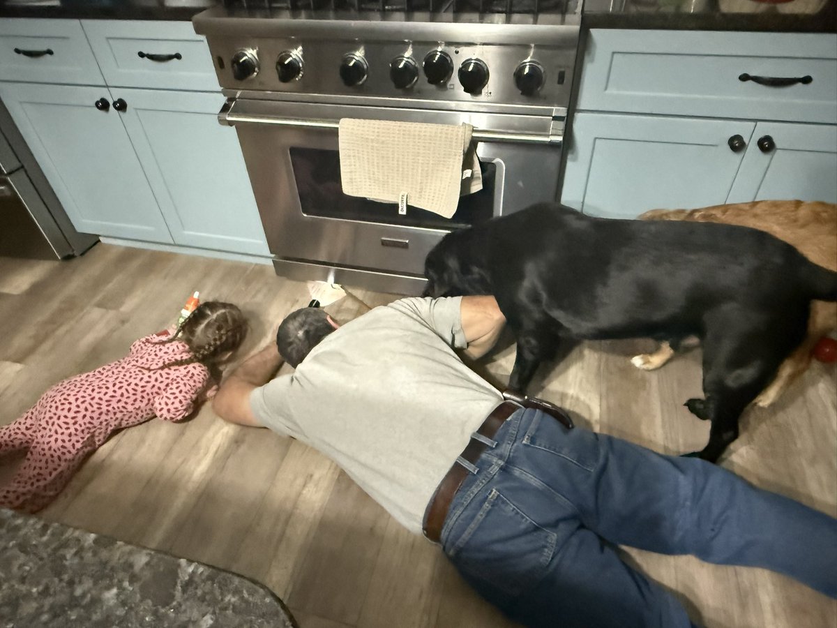 Nutmegbunny tweet media