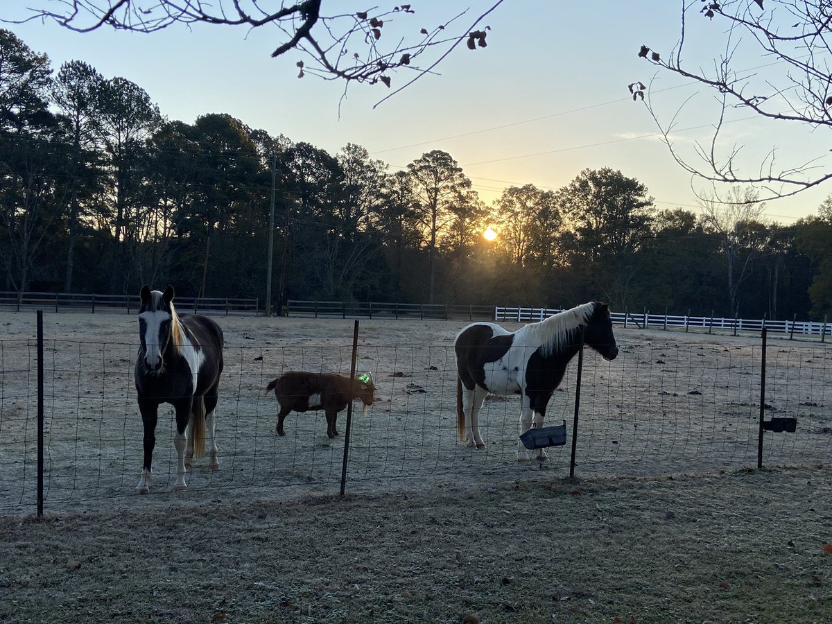 skyfall375's tweet image. Happy frosty Saturday