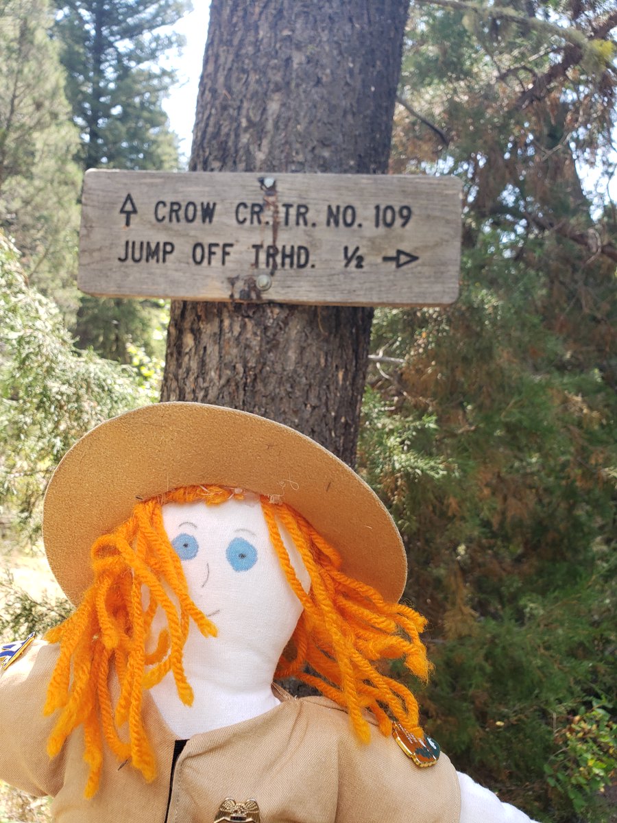 RangerSarahAdv's tweet image. After Crossing the bridge over Crow Creek Ranger Sarah reaches the trail junction. Here you want to turn left and go upstream, not the direction on the trail junction sign.
-Helena National Forest

#adventuresofrangersarah #rangersarah #hike #hiking #hikingadventures #Montana