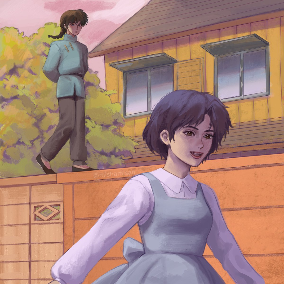 ranma and akane