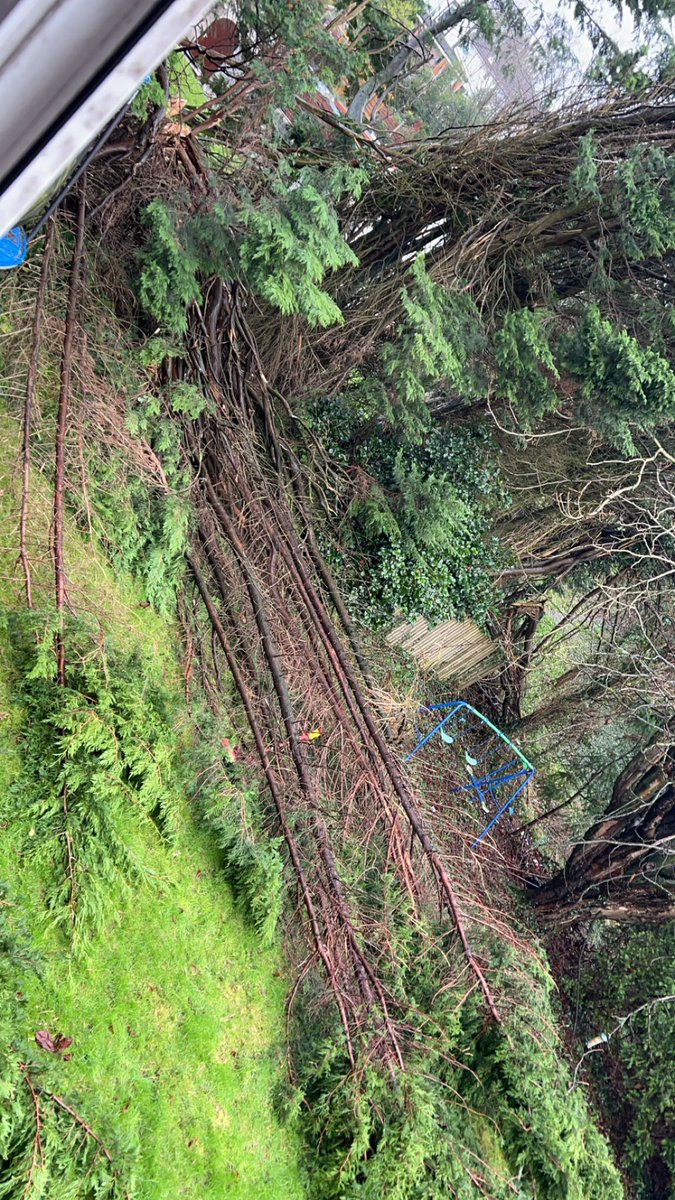 Liam Thomas tweet media