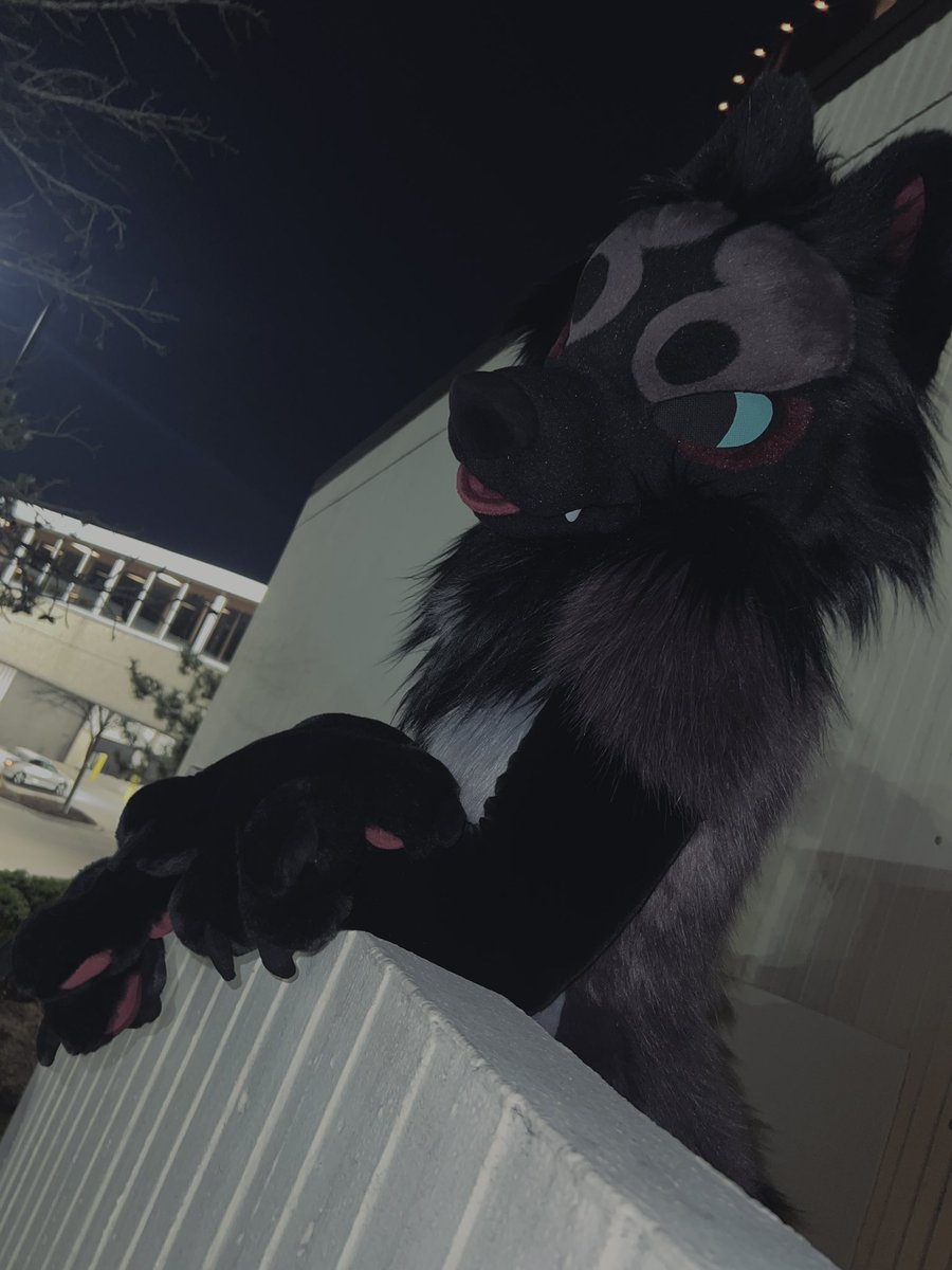 duneebugg's tweet image. woofin #MFF2024