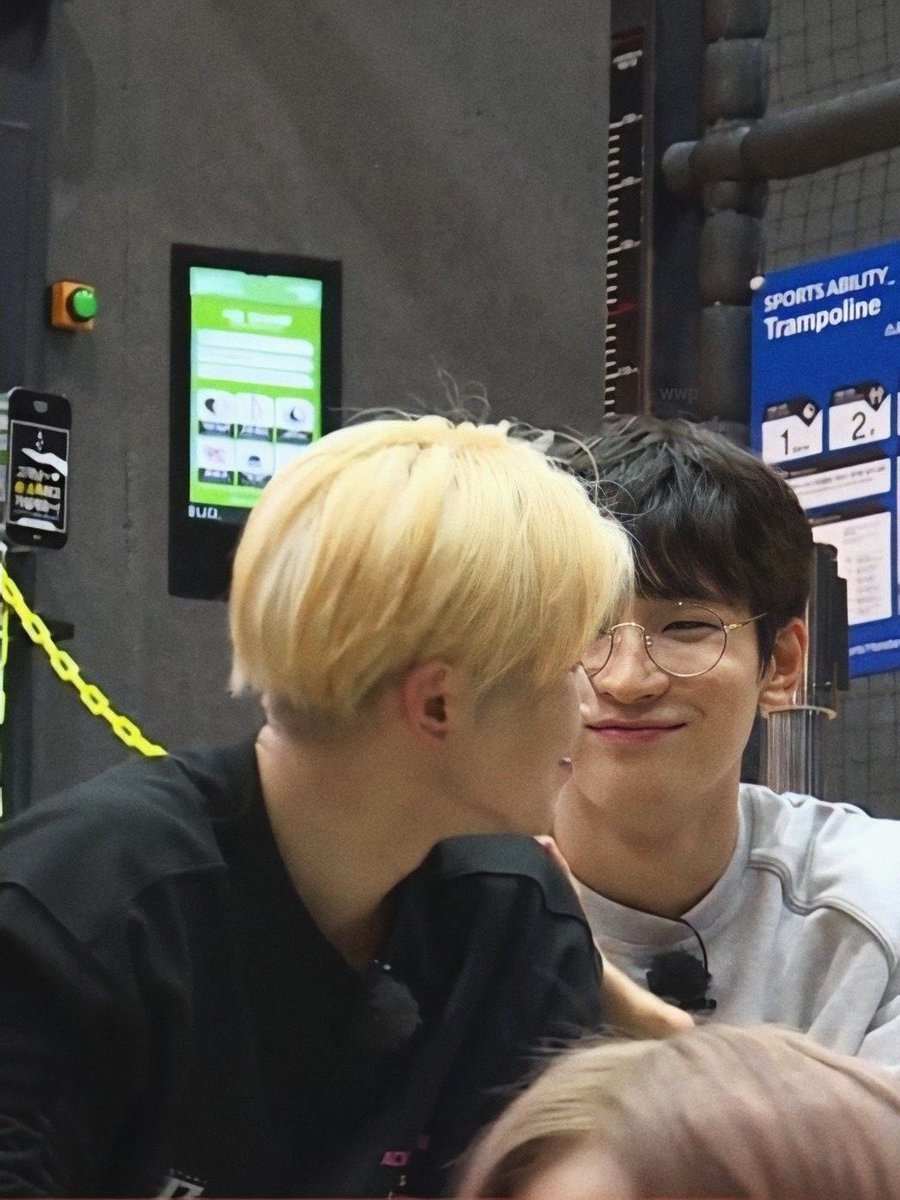 어디서 봤나 했는데 이미 봤던 고양이였음