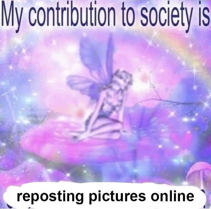 Respectful Memes (@respectfulmemes) on Twitter photo 
