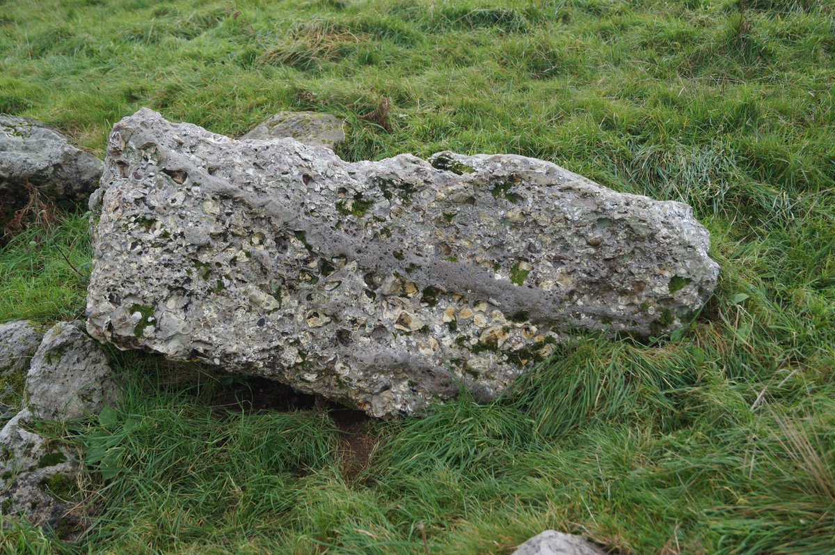 PastParticipate tweet media