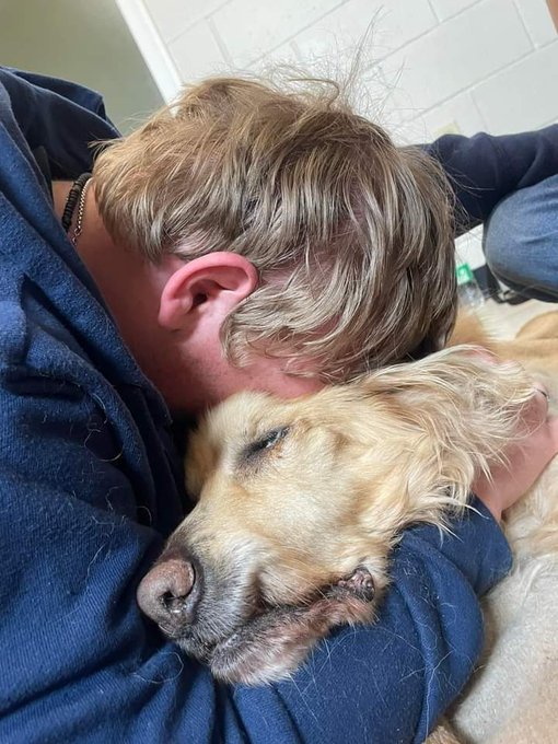 DogLovers03's tweet image. My beloved Mosis dog passed away over the rainbow this morning 🥺🥺 I have been having such a hard day and been so hard letting him go house just seems so empty 💔🐾