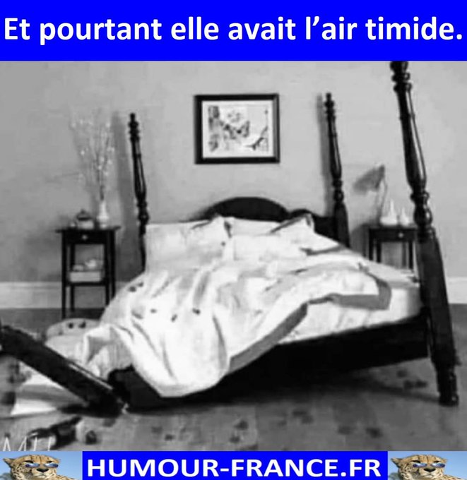 text alternatif