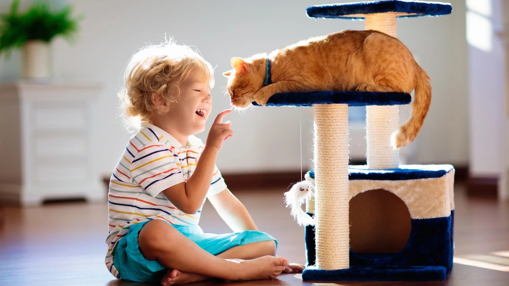 KittyNookCo's tweet photo. Understanding how to interact socially with a cat should all be based upon this principle: reinforce social behavior and ignore asocial behavior.

Read more 👉 https://t.co/ohxi592kHO

#catsocialization #Cats #Furparent https://t.co/8YvLleu67a
