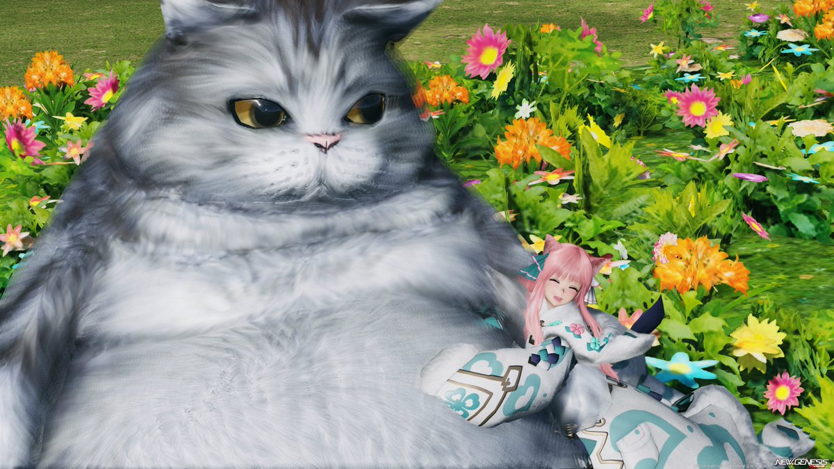 doughnutPSO2's tweet image. 🐈