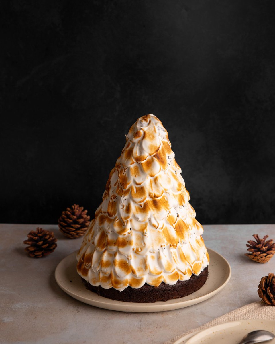 The ultimate festive showstopper: Christmas Tree baked Alaska 🎄✨ Layers of cake, ice cream, and toasted meringue – the perfect centrepiece for Christmas! 🔥
#bakedalaska #toastedmeringue #festiveshowstopper