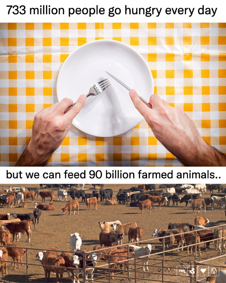 PlantBasedNews's tweet image. You should read that again &amp;amp; then still tell us this food system is working...🙄