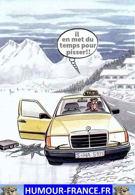text alternatif
