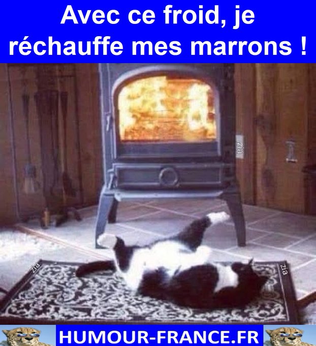 text alternatif