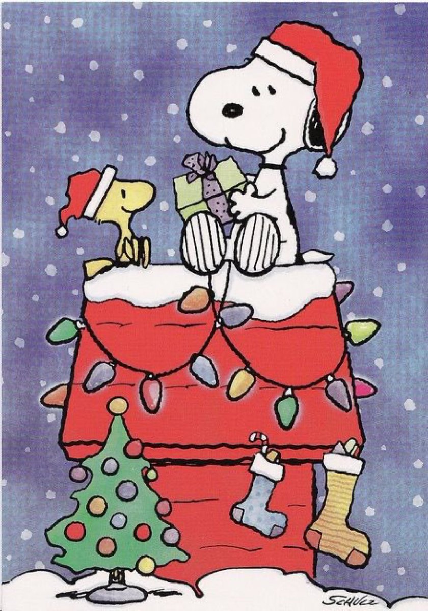 Peanuts_4Fans's tweet photo. Snoopy of the Day 🎄 #Peanuts https://t.co/ALqAzHzvOX
