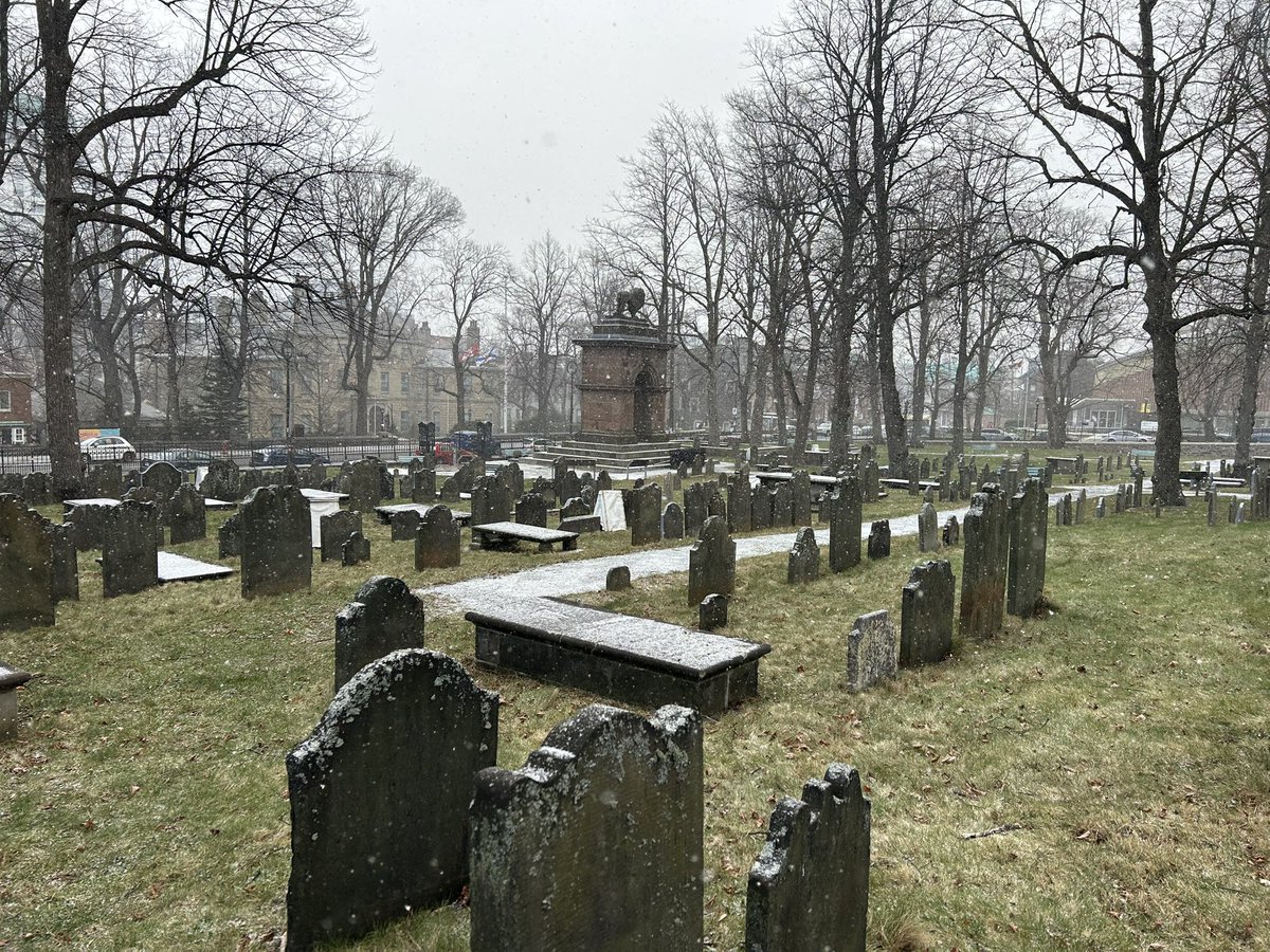 Dead In Halifax tweet media