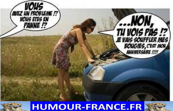 text alternatif