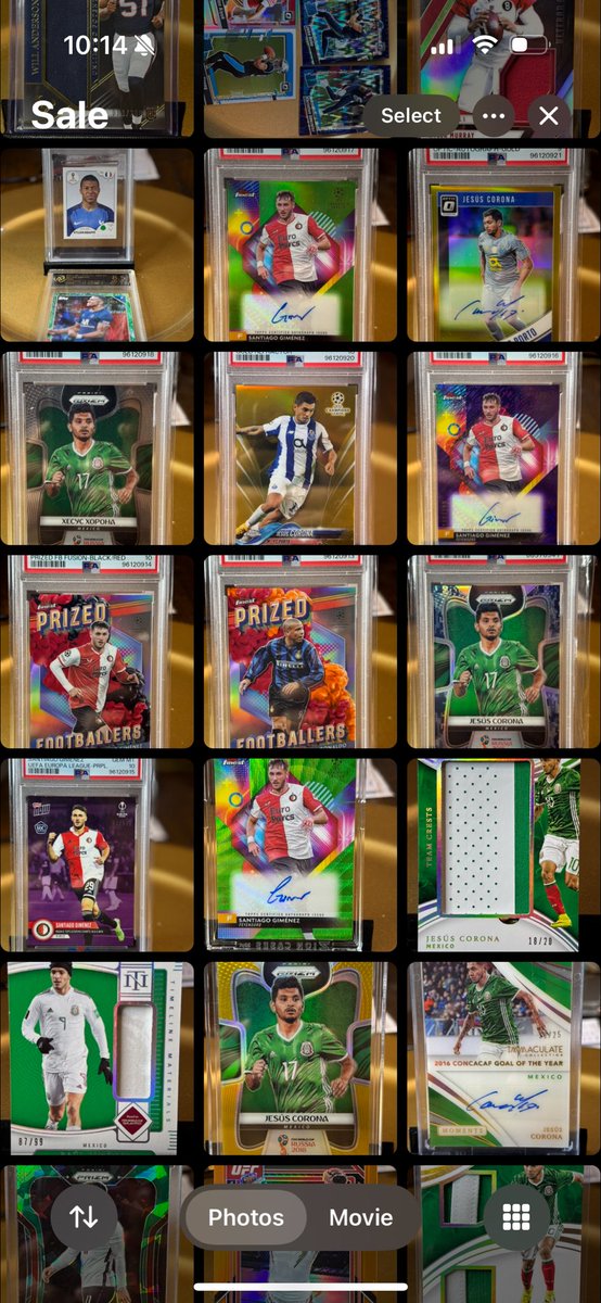 Roberto Guerra tweet media