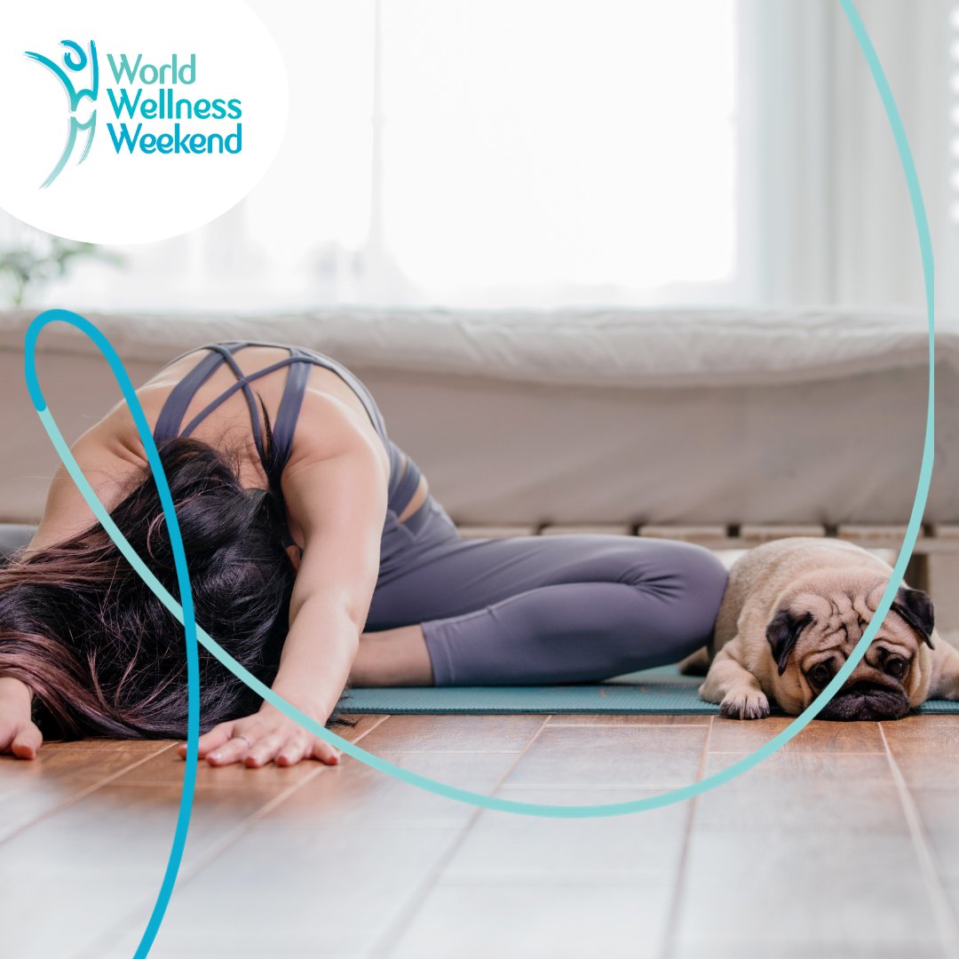 Yoga isn’t just for humans—it’s a fantastic bonding experience with your beloved pets too!
Incorporating your cat or dog into your yoga practice can bring so much joy, laughter, and relaxation. 😂🐾 

So, grab your mat, invite your furry friends, and stretch together!