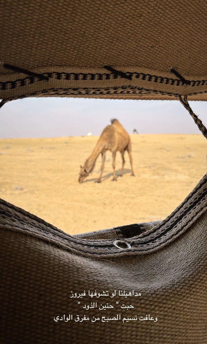 جودي 💛 (@gooob4321) on Twitter photo 