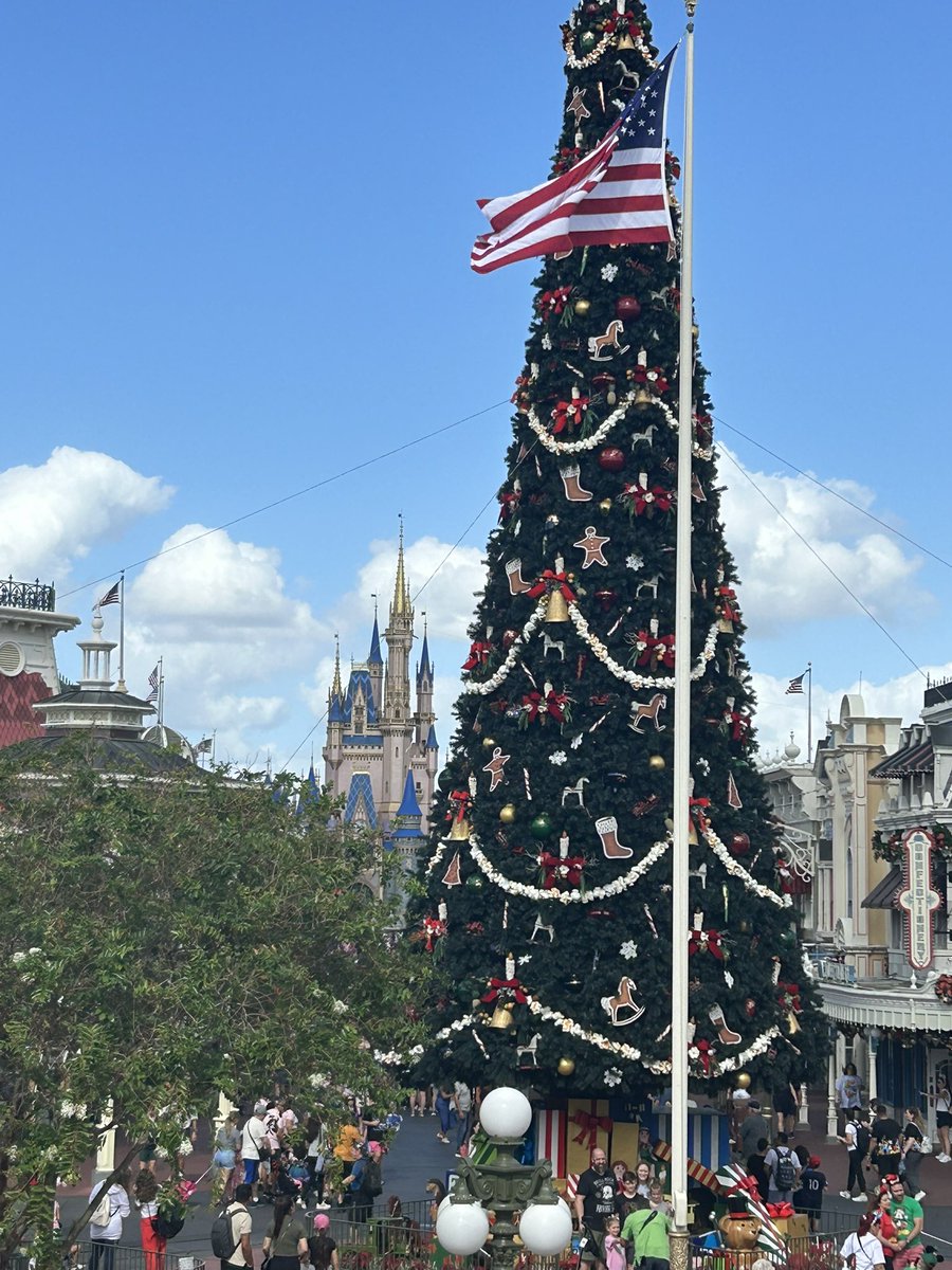 Missing this view <a href="/WaltDisneyWorld/">Walt Disney World</a>