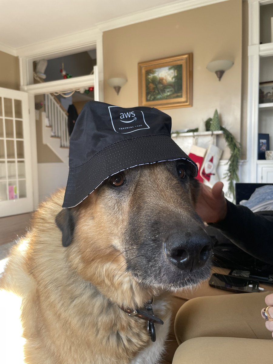 The best little <a href="/awscloud/">Amazon Web Services</a> mascot 

I love him