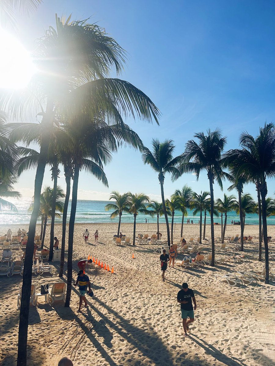 Zelfie (@zelfierl) on Twitter photo 