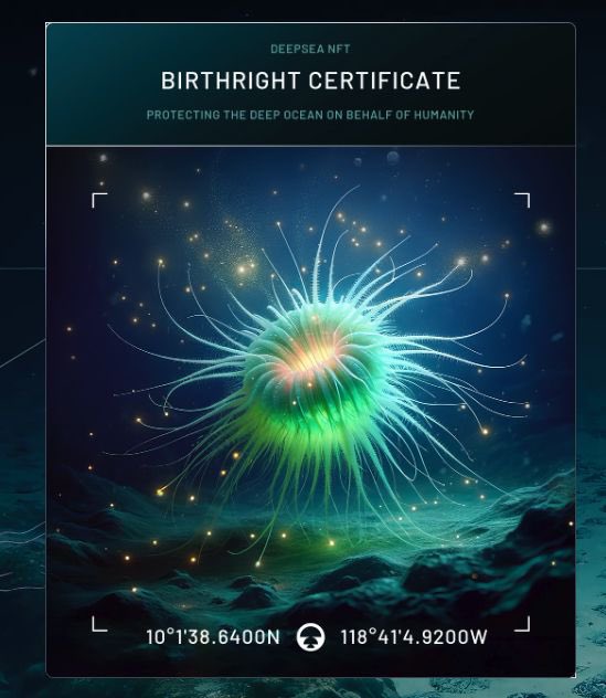 Did you claim your NFT from Deep Rising already?

By building and minting the NFTs on Coinweb whilst using <a href="/MultiversX/">Multiversᕽ</a> as the underlying chain, the NFTs are highly eco-friendly, emitting just 0.04 grams of CO₂ per transaction—significantly less than a single Google search and
