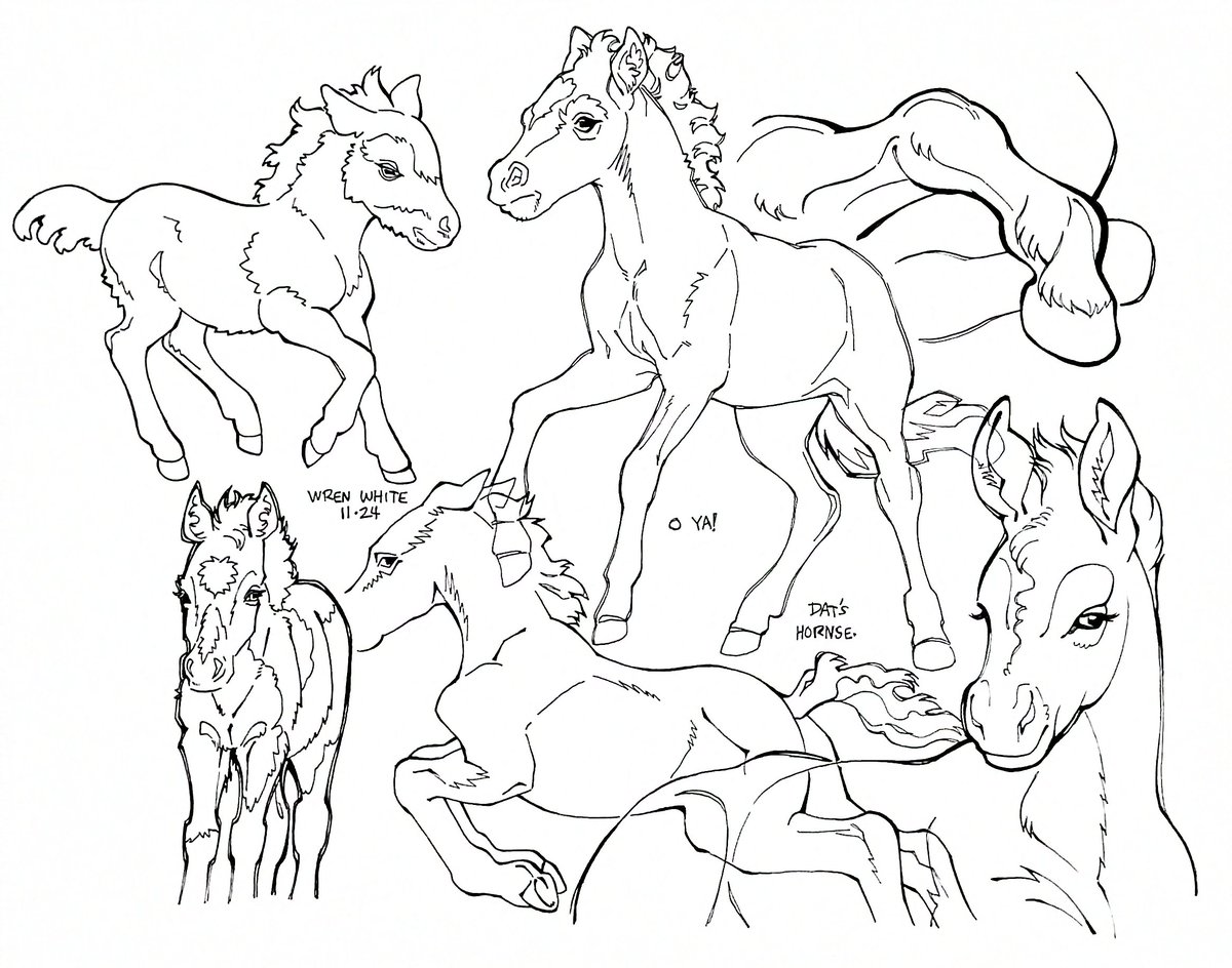 Sheezy (@sheezy_art) on Twitter photo baby horses by <a href="/fairywrenprince/">wren white 💫</a>
sheezy.art/wren/gallery/b…
These pictures capture the playful essence, of playful young horses, so well! Even without any colour or tone, they are so very well drawn
#SheezyShares baby horses by <a href="/fairywrenprince/">wren white 💫</a>
sheezy.art/wren/gallery/b…
These pictures capture the playful essence, of playful young horses, so well! Even without any colour or tone, they are so very well drawn
#SheezyShares