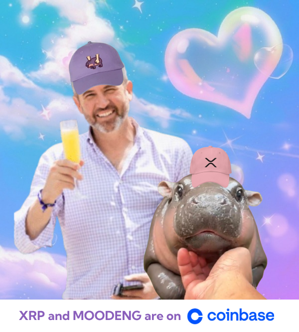 Don't fight it. This is what the people want💜🦛

Infra - XRP
Meme - Moo Deng

@moodengsol <a href="/moodengx/">Moo Deng Fanclub</a> <a href="/Ripple/">Ripple</a> $xrp #xrp #moodeng #memecoin