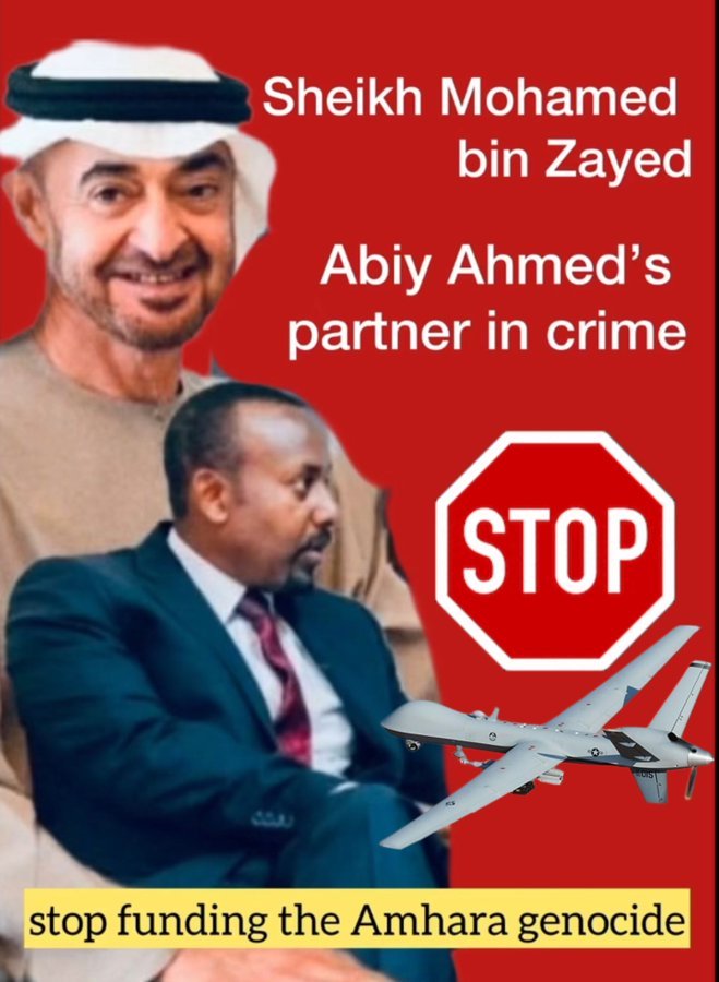 Genetawit's tweet photo. Unthinkable atrocities: drone attacks in the Amhara region have claimed countless innocent lives, including children and women, in schools, hospitals, &amp; religious spaces. This is a grave violation of human rights that demands immediate attention and action. #AmharaGenocide @AFP https://t.co/T3Wzks712a