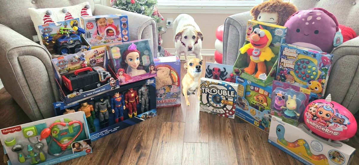 CanadianPenny1's tweet image. On behalf of my Twitter frens and followers, I'm donating all of these fun toys to #Ottawa's Toy Mountain! It's our annual way of paying it forward for all the ♥️ you show us🎄🎁🧸

Thanks to Higgins @prefect who donated again to help! ☺️

 #DogsofTwittter #ToyMountain