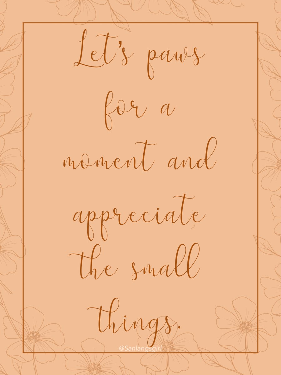 Meowmakesart's tweet photo. Let’s  Paws!  What are you appreciating today? 🌼 https://t.co/5bpFB16eqS