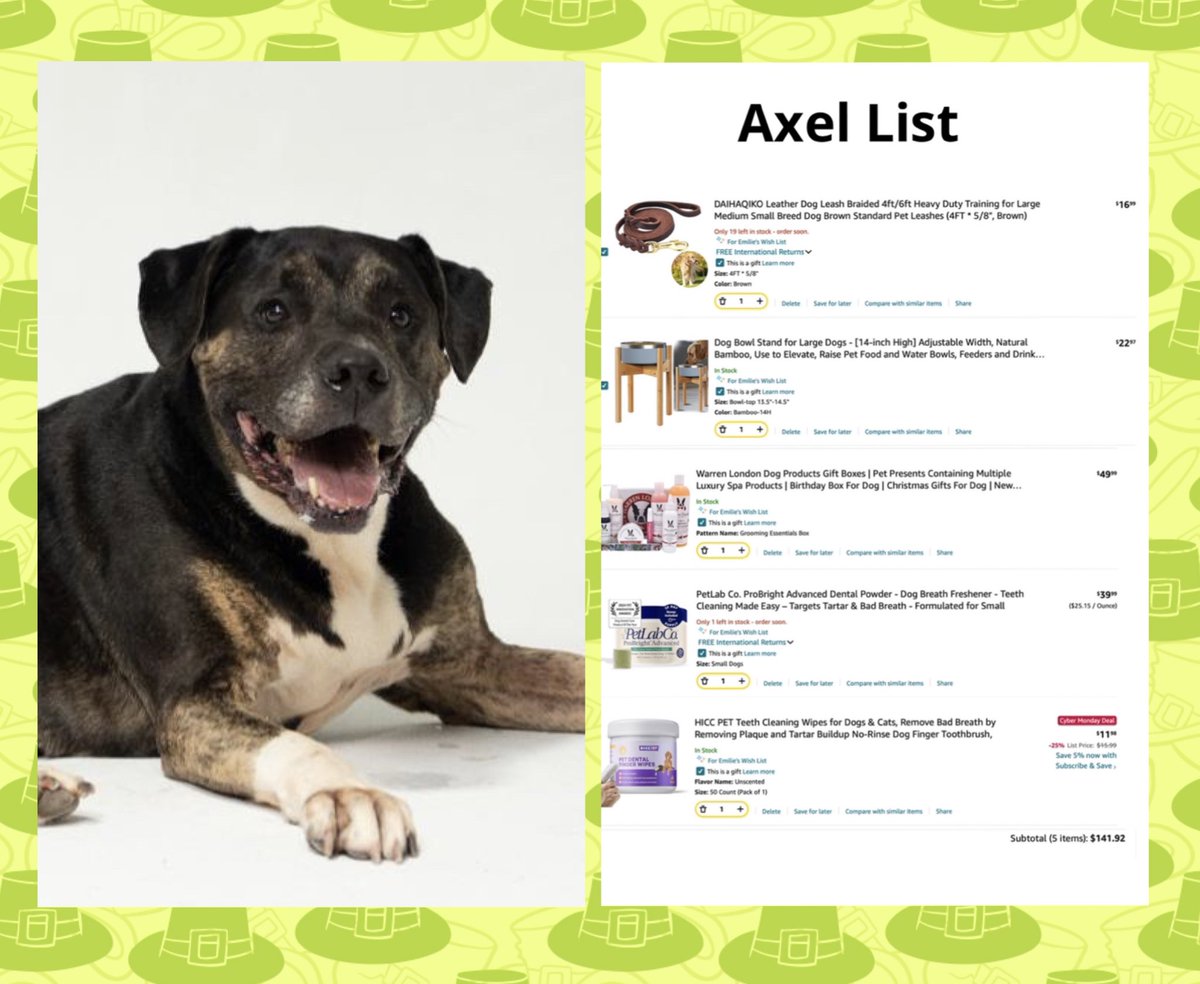 winniepoodl's tweet photo. What would a donation week be without Axel? 🎩
Everyone loves Axel! And today it’s his turn for his Amazon wishlist. Our sweet, soft-hearted gentleman at Joey’s Friends! 🐕✨
#joeysfriends #amazon #dogrescue #makingachange https://t.co/OZ2HBuIjKf