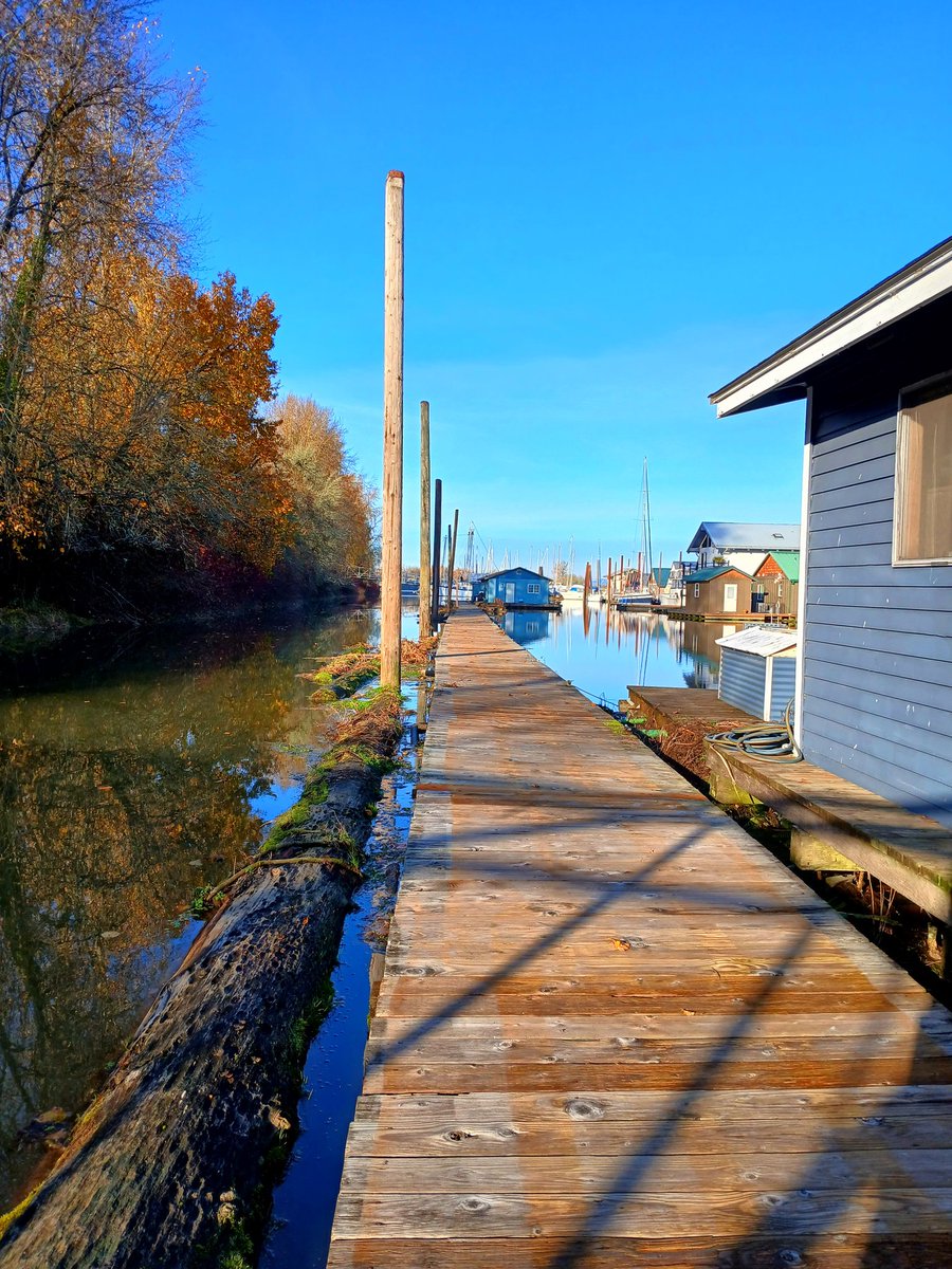 RoseCityWeb3 🌹🛡 tweet media