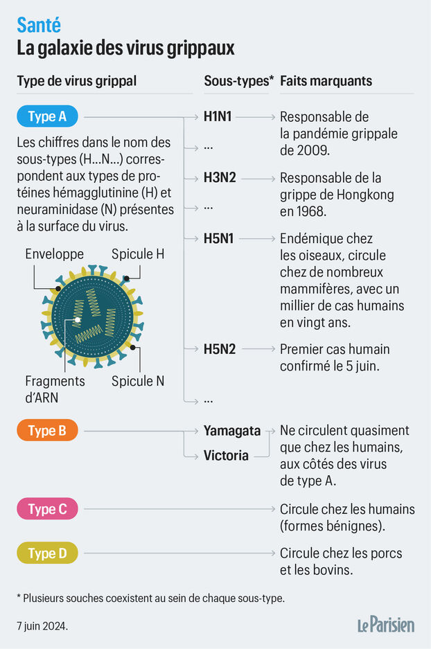 Plus les semaines passent, plus le risque de transmission interhumaine de la grippe aviaire #H5N1 se rapproche : "Il y a des raisons de s'inquiéter, sans paniquer", car "la situation semble accélérer plutôt que ralentir." ⤵️ <a href="/le_Parisien/">Le Parisien</a>

1/9

leparisien.fr/societe/sante/…