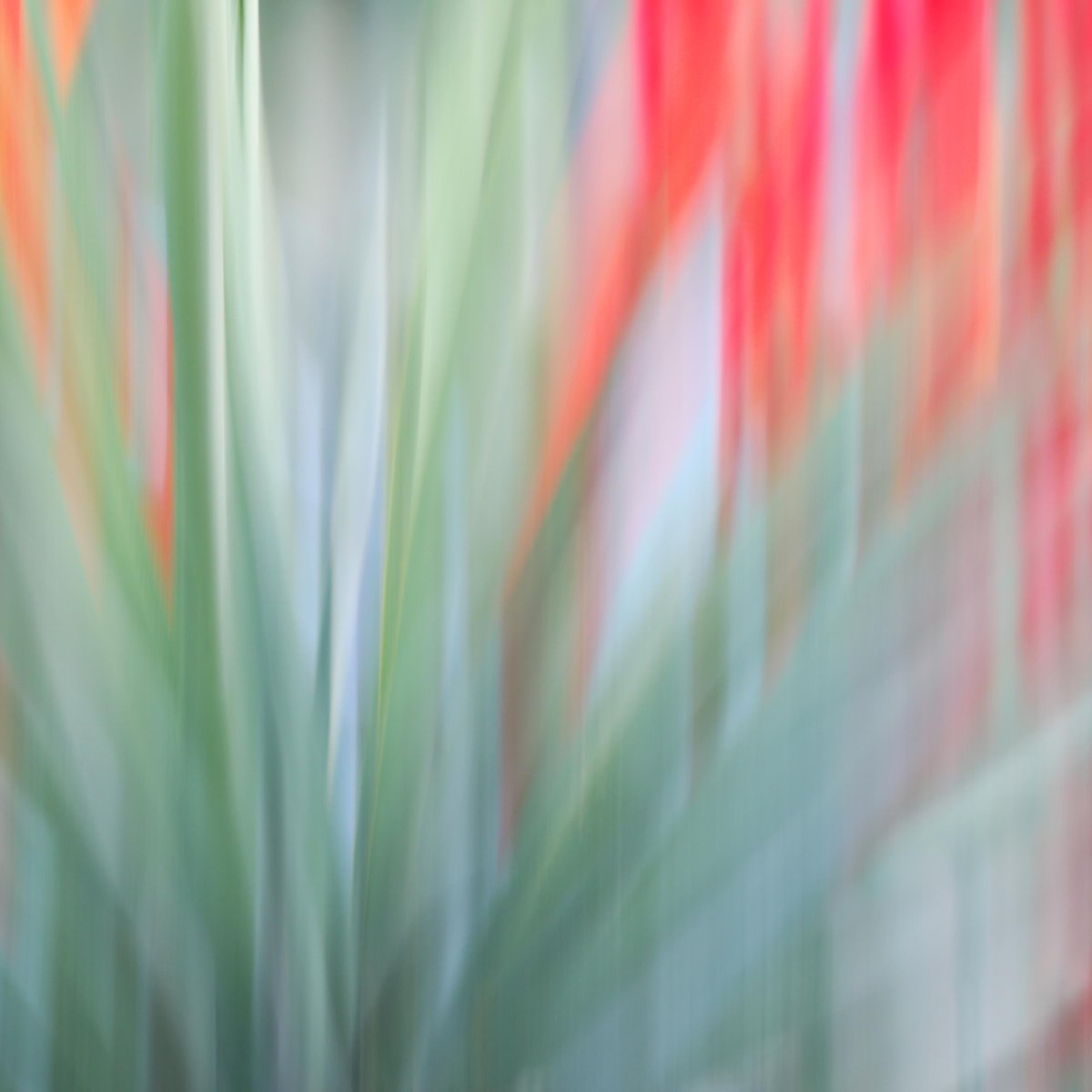 GPEC's tweet image. Check out these pieces from our 'Spirit of Greater Phoenix' exhibit! 🎨

View the full gallery ➡️ gpec.org/art-exhibit/ga… | #AZArt #LocalArt #SupportLocalArt #AZArtists #VirtualGallery #VirtualExhibit