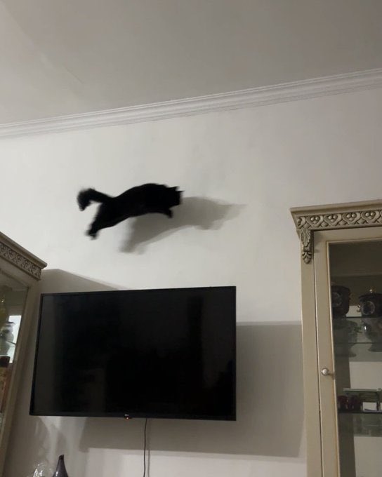 happi bresdey <a href="/sunghoorc/">Park Sunghoon</a>