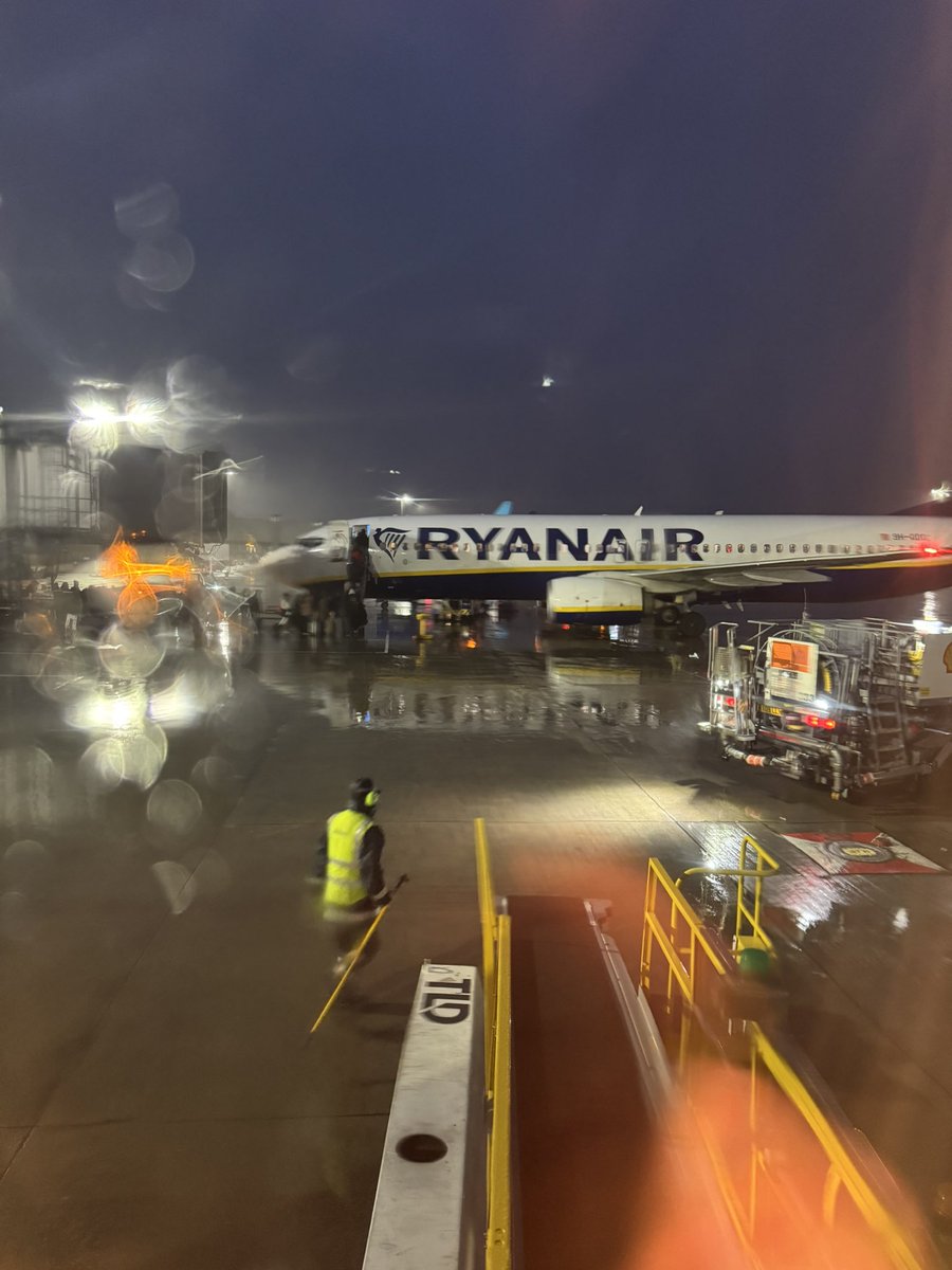 Steven Mitchell tweet media