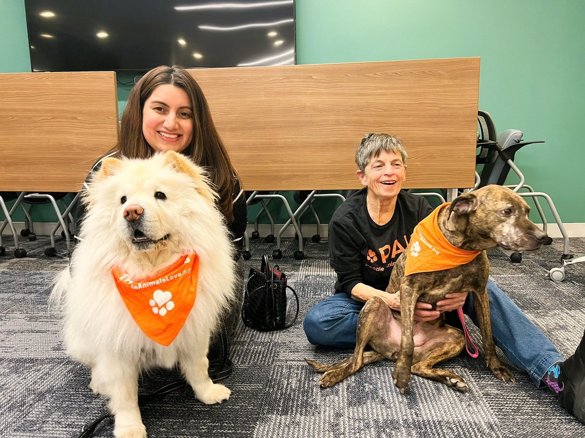 People Animals Love was established in the 1980s with our founder Bill Wendt &amp; is a faithful partner of the Center. Thanks to Reine &amp; Smiley for their comfort during conversations about grief. #PeopleAnimalsLove #AnimalAssistedTherapy #SupportAnimal #dog #dogs 🐶🐾🥰💫✨