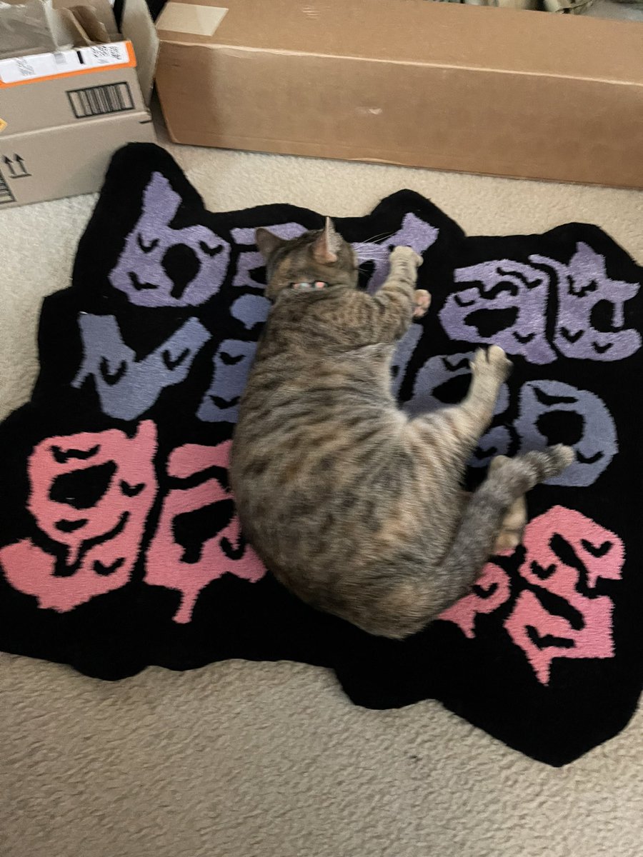 JustinWard1234's tweet photo. Someone’s enjoying the new rug before I can even put it in my office 🐱 https://t.co/9TRz2c8EHB
