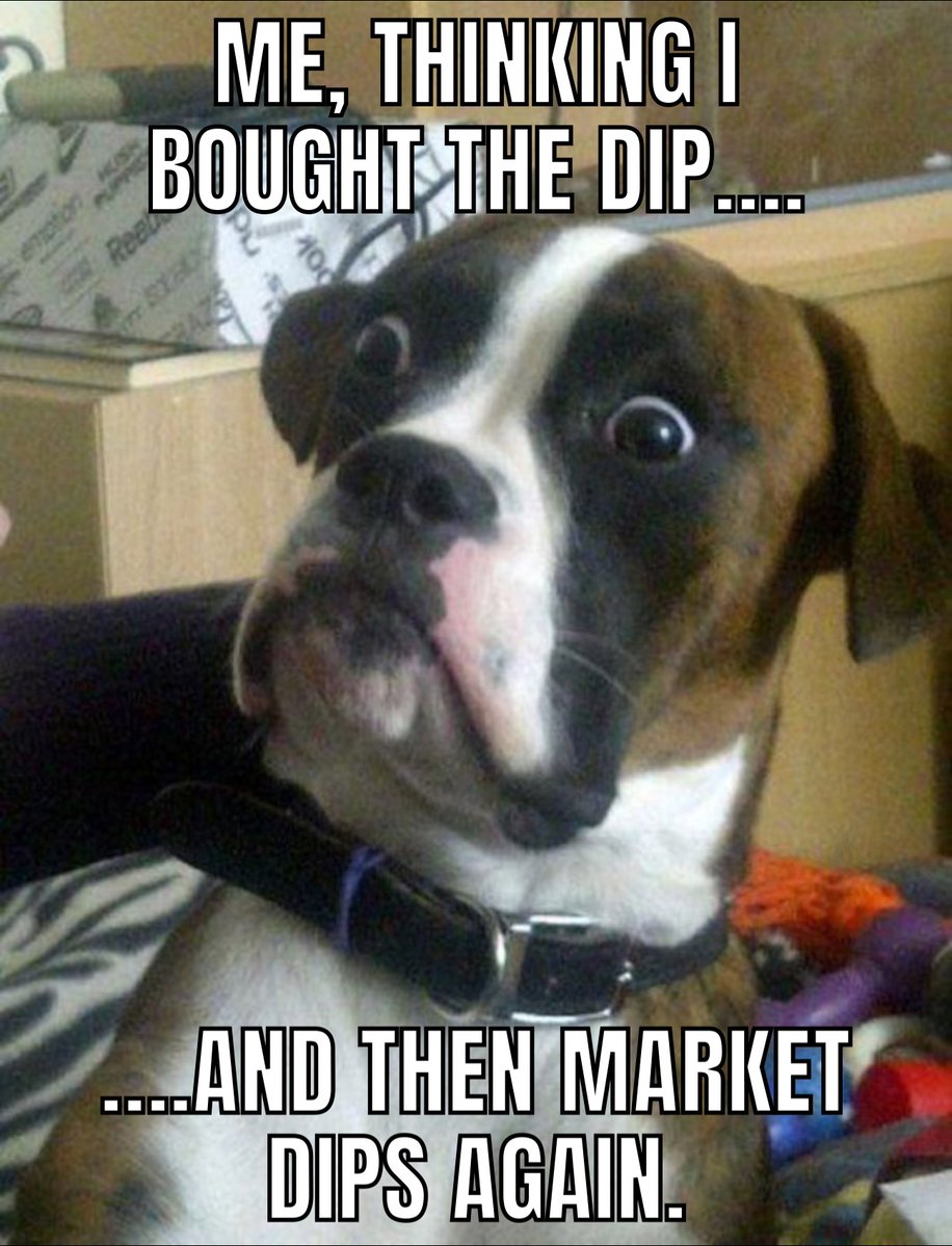 EthShuffler's tweet photo. Me: ‘I’ve mastered buying the dip.’ Market: ‘There’s another floor.’ 🐶📉 #CryptoHumor #BuyTheDip #BlockchainLife #WhenMoon #CryptoMemes #HODL #BuyLow #CryptoLife #Ethereum #ETHMixer #Cryptoprivacy https://t.co/D4dh19GfqG