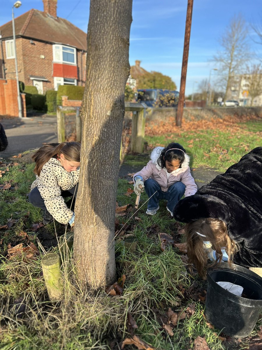 Badgers @ Burton Green Primary School tweet media